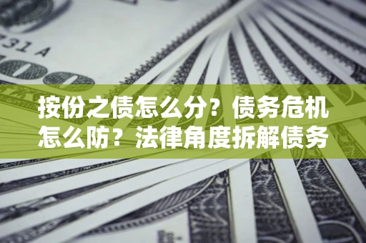 北京按份之债怎么分？债务危机怎么防？法律角度拆解债务分配与风险自保指南