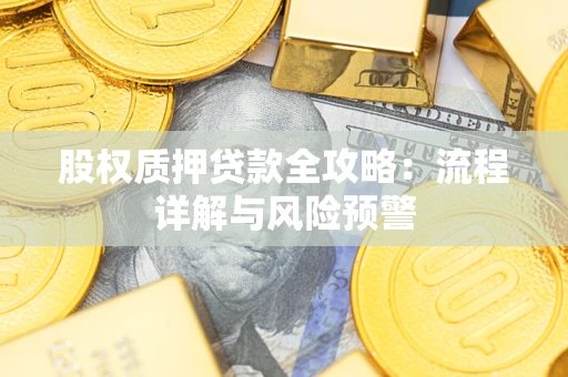 北京股权质押贷款全攻略：流程详解与风险预警