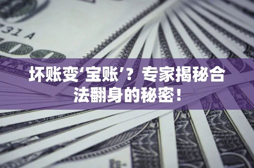 北京坏账变‘宝账’？专家揭秘合法翻身的秘密！