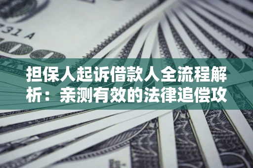 北京担保人起诉借款人全流程解析：亲测有效的法律追偿攻略