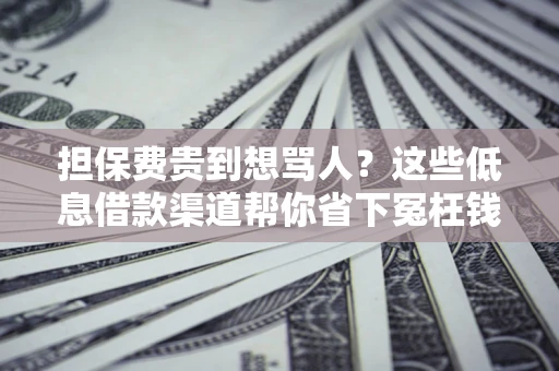 北京担保费贵到想骂人？这些低息借款渠道帮你省下冤枉钱