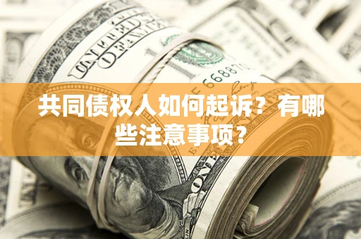 北京共同债权人如何起诉？有哪些注意事项？
